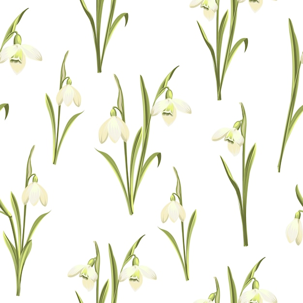 Floral seamless pattern. Blooming snowdrops on white background.