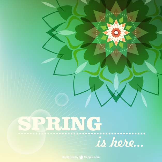 Floral spring card vector