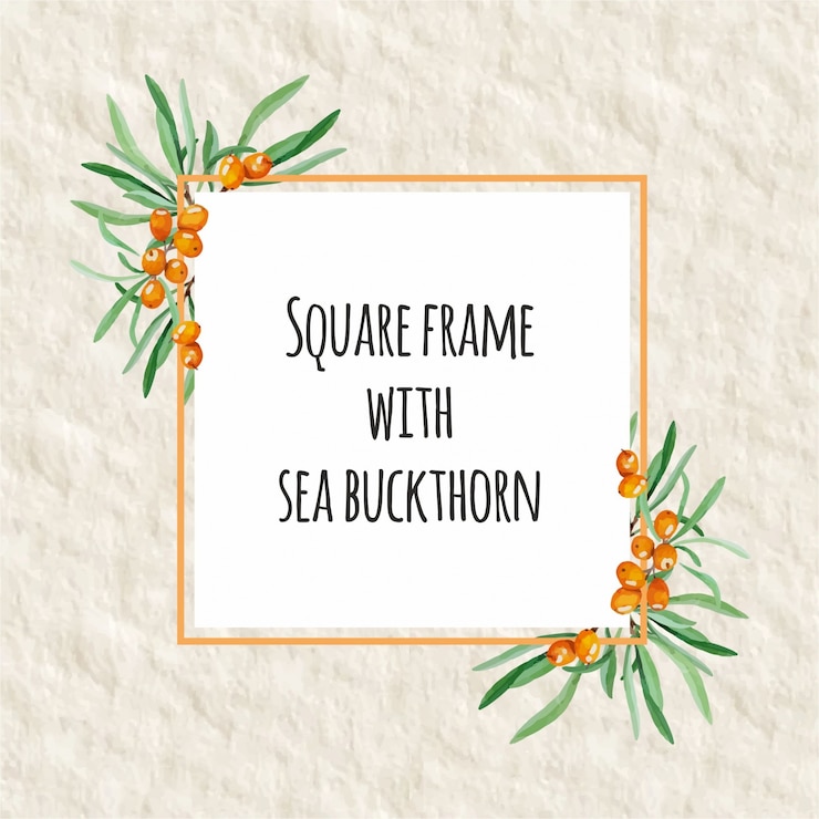 Free Vector floral square frame
