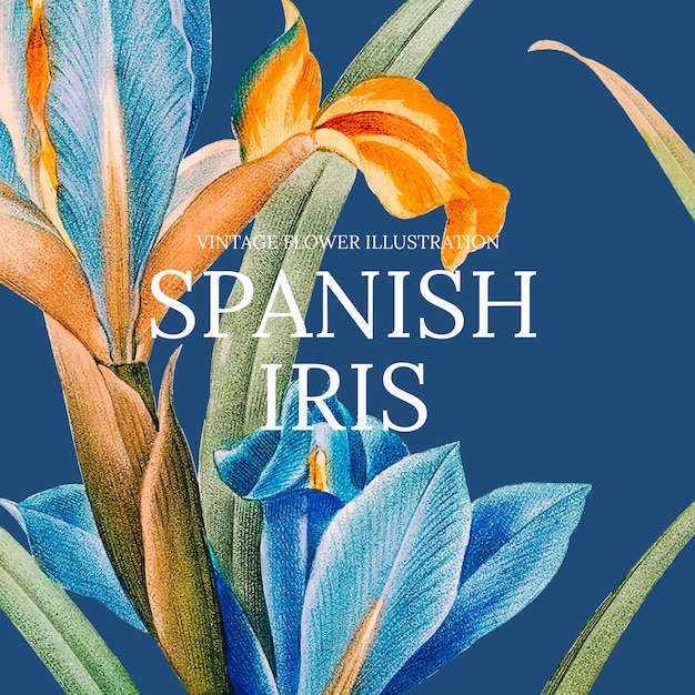공개 도메인 작품에서 리믹스된 스페인어 홍채 배경이 있는 꽃 템플릿