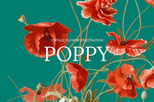 공개 도메인 작품에서 리믹스된 양귀비 배경의 꽃 웹 배너 템플릿