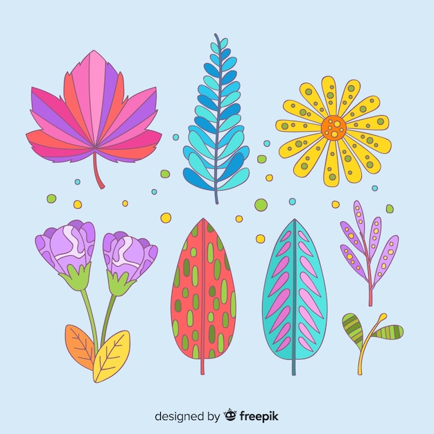 Бесплатное векторное изображение Коллекция цветов и листьев