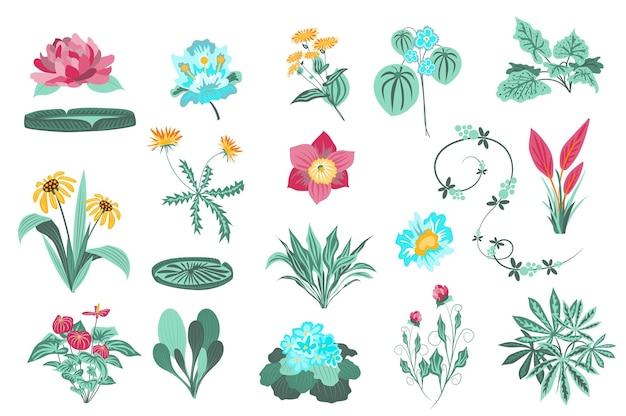 花と植物は 野生の花が咲くセットガーデンと野生の葉の緑の葉を分離しました プレミアムベクター