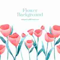 Free vector flower background with tulips