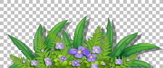 Flower bush with leaves on transparent background