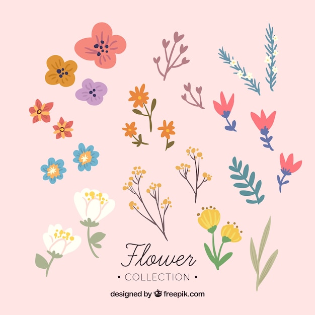 Flower collection