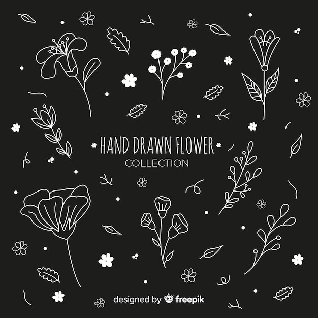 Free vector flower collection