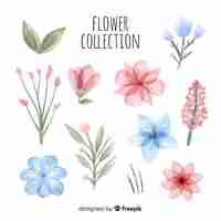 Free vector flower collection