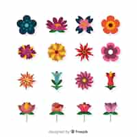 Free vector flower collection