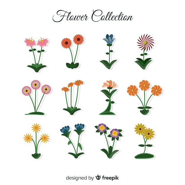 Free vector flower collection