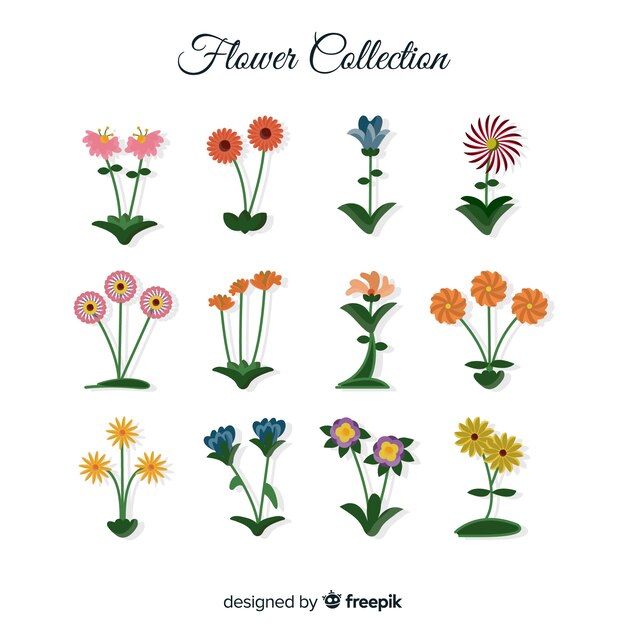 Flower collection