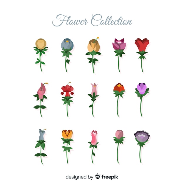 Flower collection