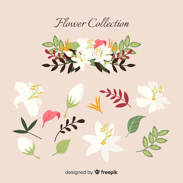 Free vector flower collection