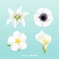 Free vector flower collection