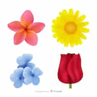 Free vector flower collection