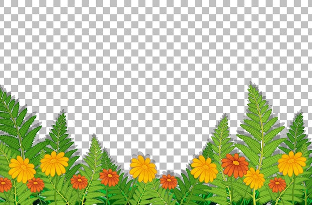Free vector flower field with leaves on transparent background
