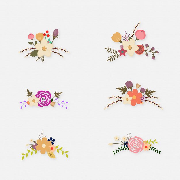 Flower illustrations collection