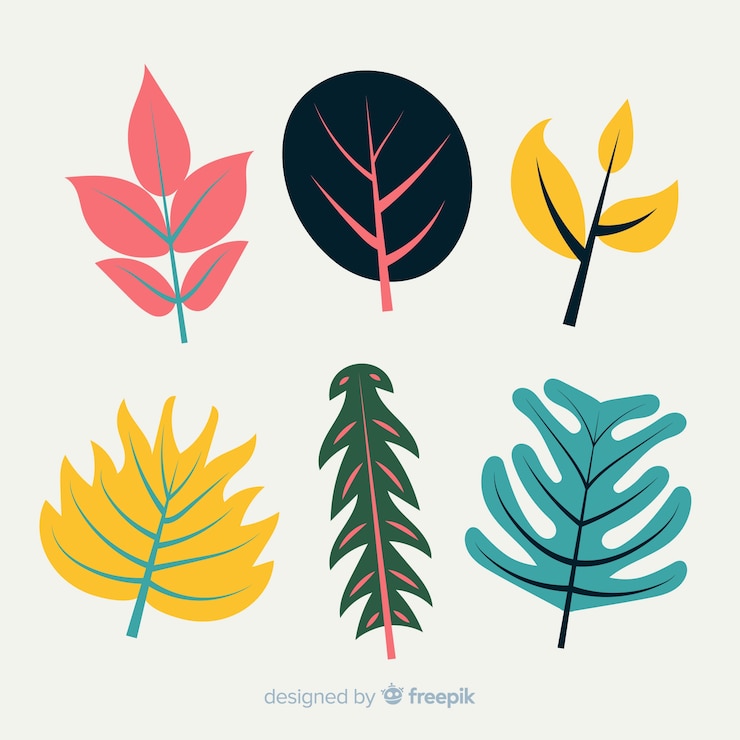 Free Vector flower and leaf collection