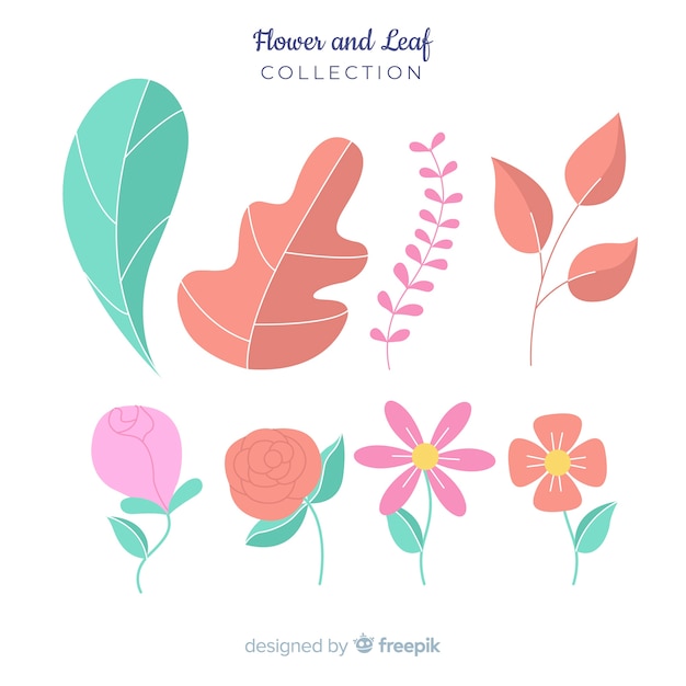 Free vector flower and leaf collection