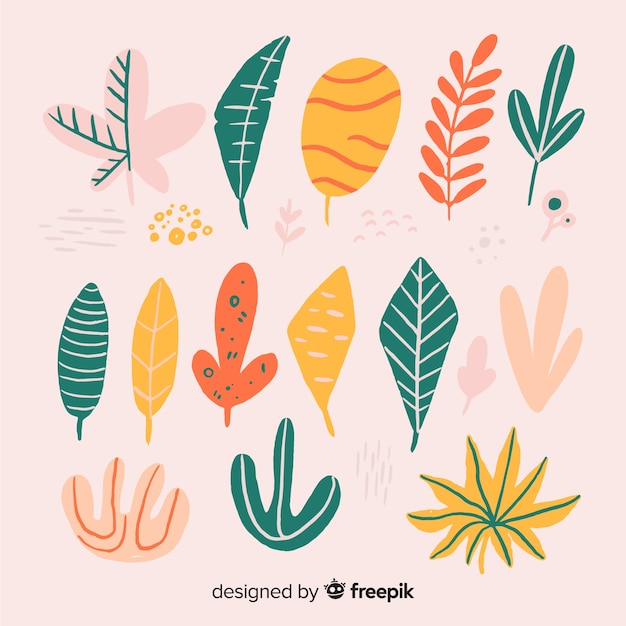 Free Vector flower and leaf collection