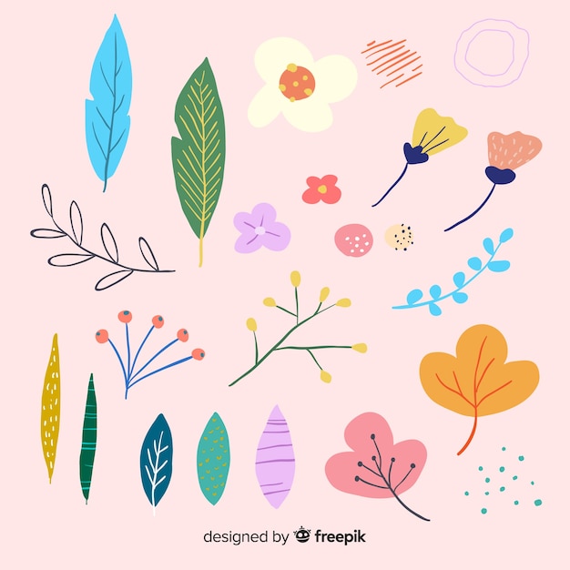 Free vector flower and leaves collection