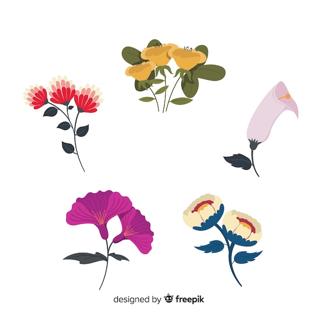 Free vector flower and leaves collection