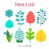 Free vector flower and leaves collection