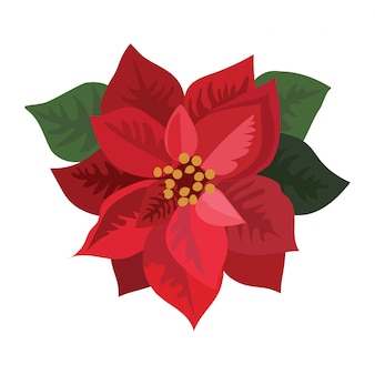 Flower poinsettia. cartoon christmas flower.  illustration of a blooming plant on a white background. Premium Vector
