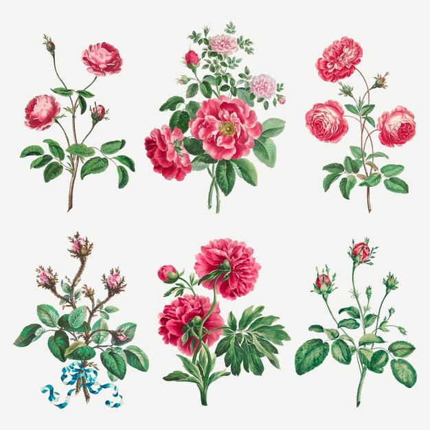 Набор цветочных векторных винтажных художественных принтов, переработанный из произведений Джона Эдвардса