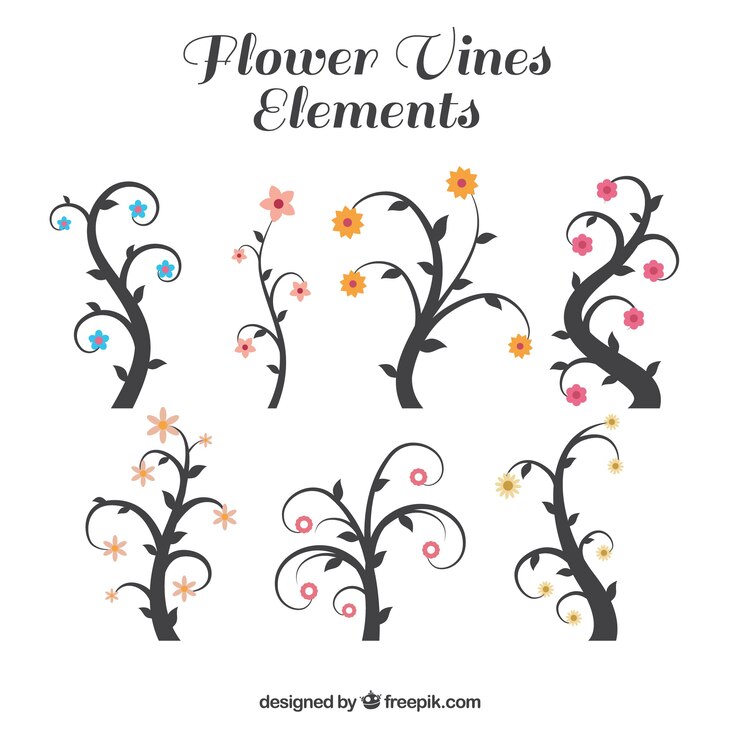 Free Vector flower vineyards