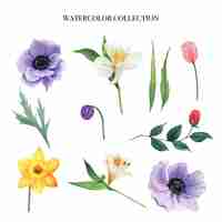 Free vector flower watercolor set design element