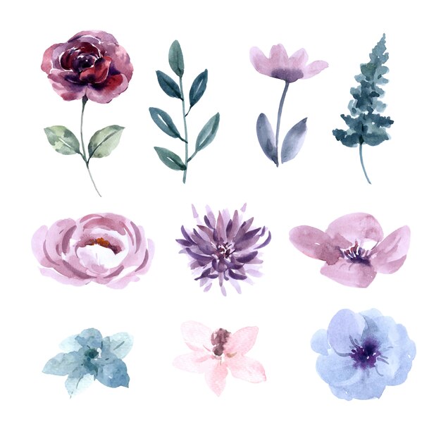 Flower wedding watercolor design element 