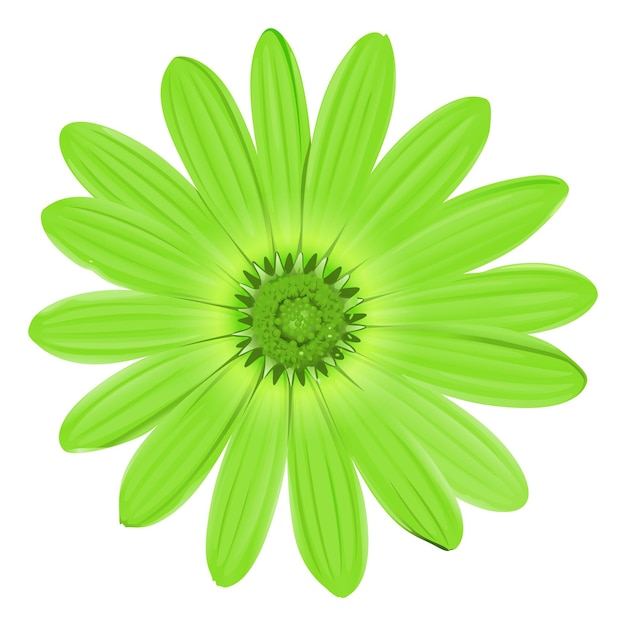 Free vector flower