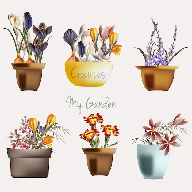 Flowerpot design collection