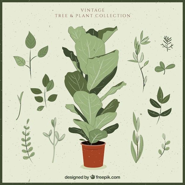 Free vector flowerpot with pretty hand drawn leaves