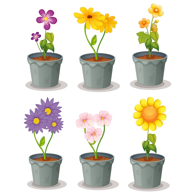 Free vector flowerpots collection