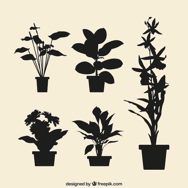 Flowerpots silhouettes