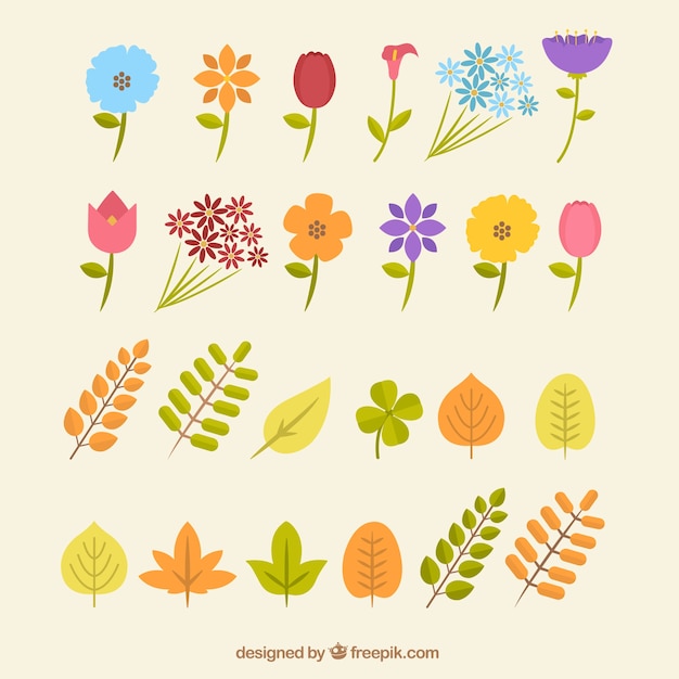 Бесплатное векторное изображение Цветы и листья в плоской конструкции