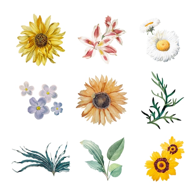 Free vector flowers in bloom