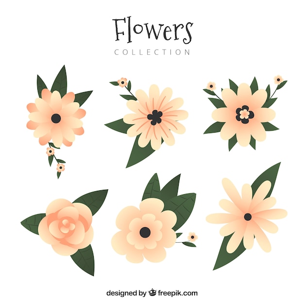 Free vector flowers collection in flat style