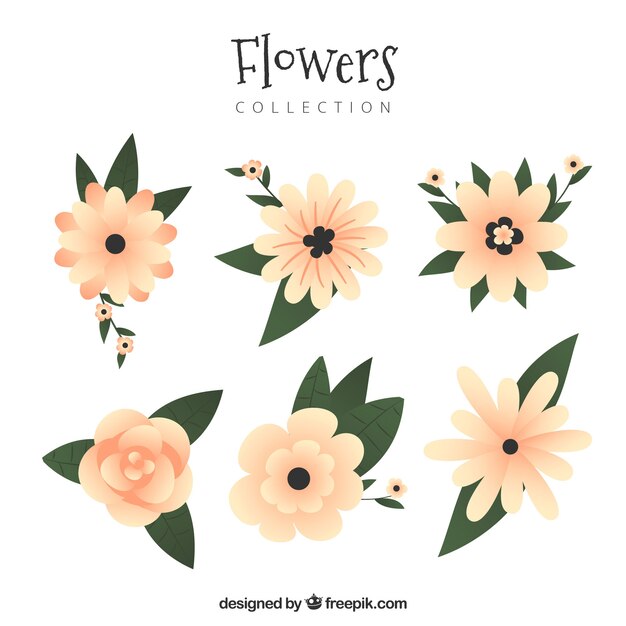 Flowers collection in flat style