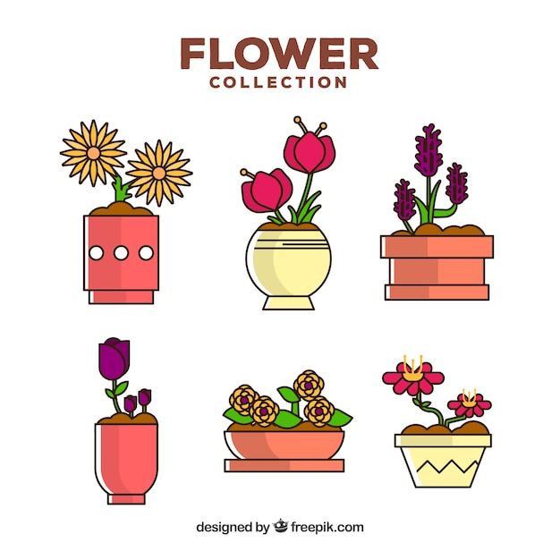 Flowers collection in flat style