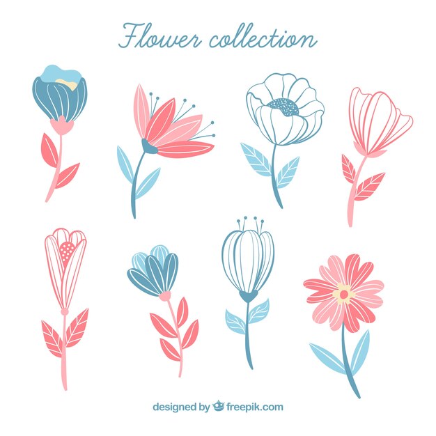 Flowers collection in hand drawn style