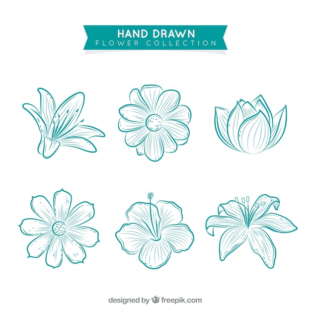 Flowers collection in hand drawn style