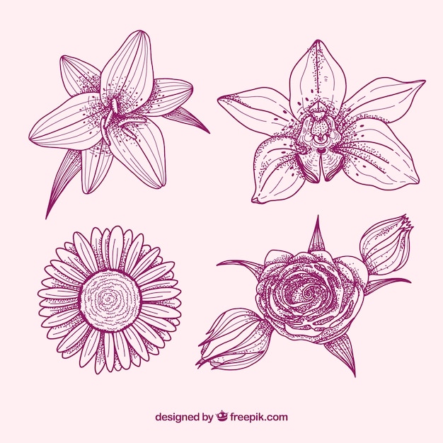 Free vector flowers collection in hand drawn style
