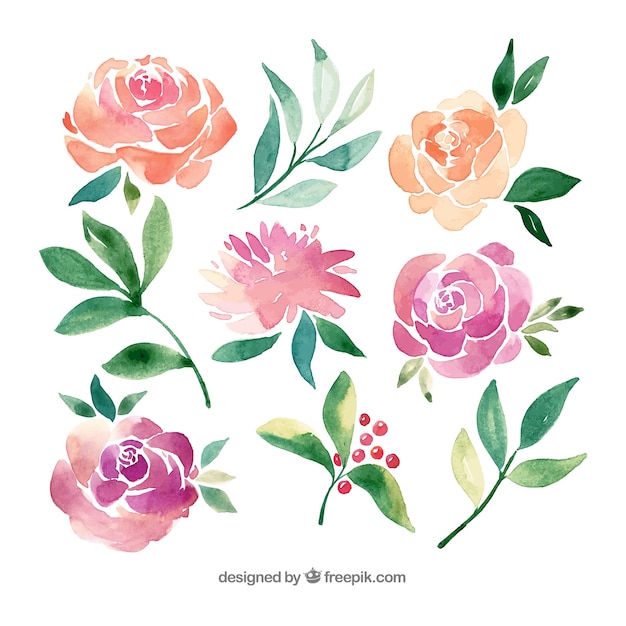 Free vector flowers collection in watercolor style