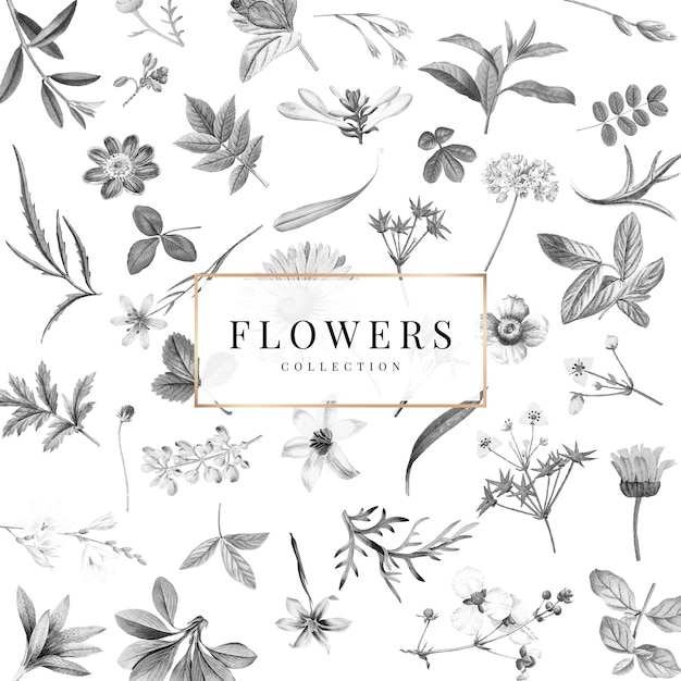 Flowers collection on a white background vector