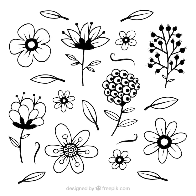 Flowers collection with stem in hand drawn style