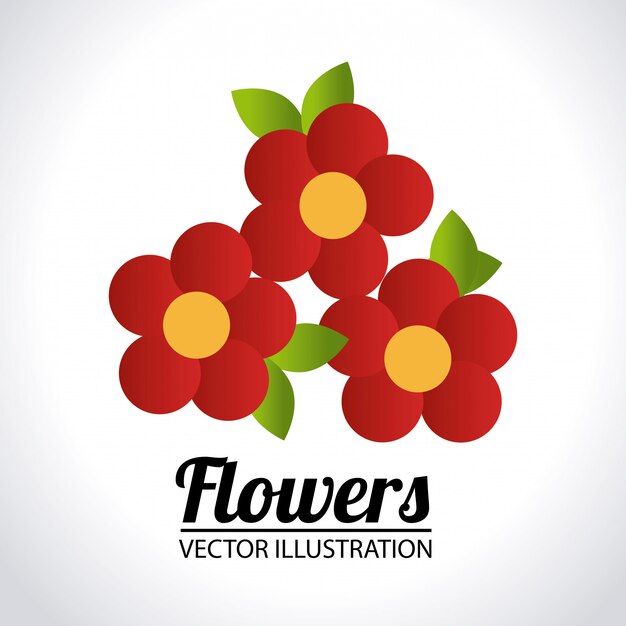 Flowers design illustration