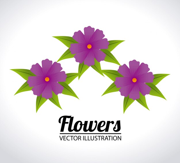 Flowers design illustration